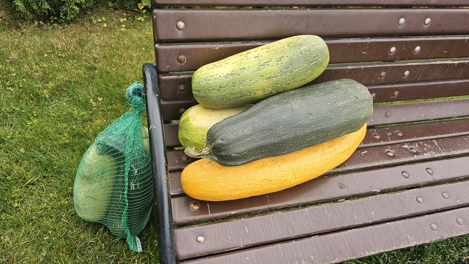 Безгә гошер китергән кешеләргә Җәнәбел Хак разый булсын!