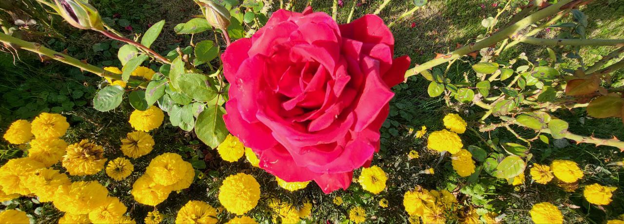 РӘХИМ ИТЕГЕЗ!