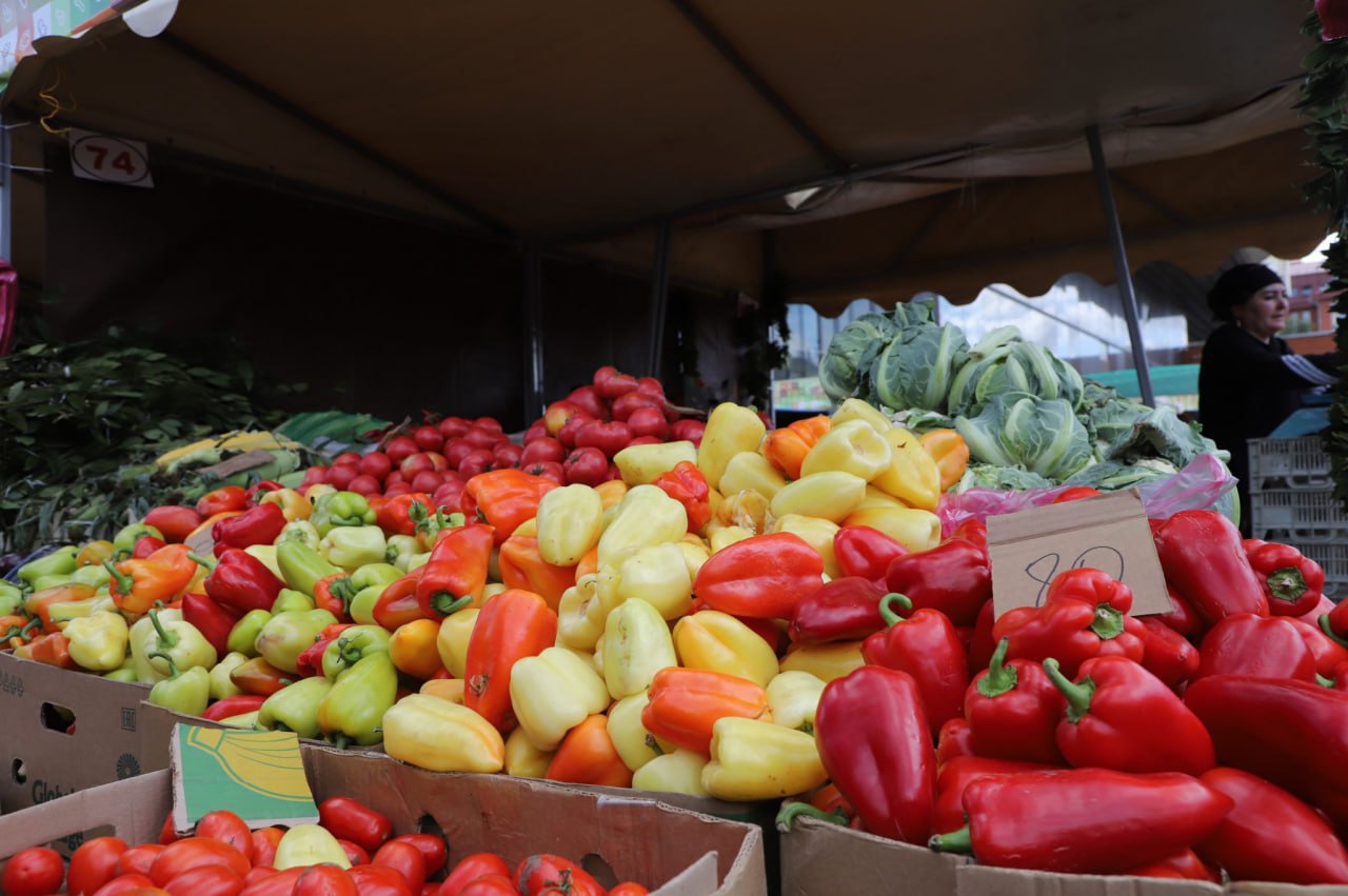 Борбаш пансионатында уңыш җыю