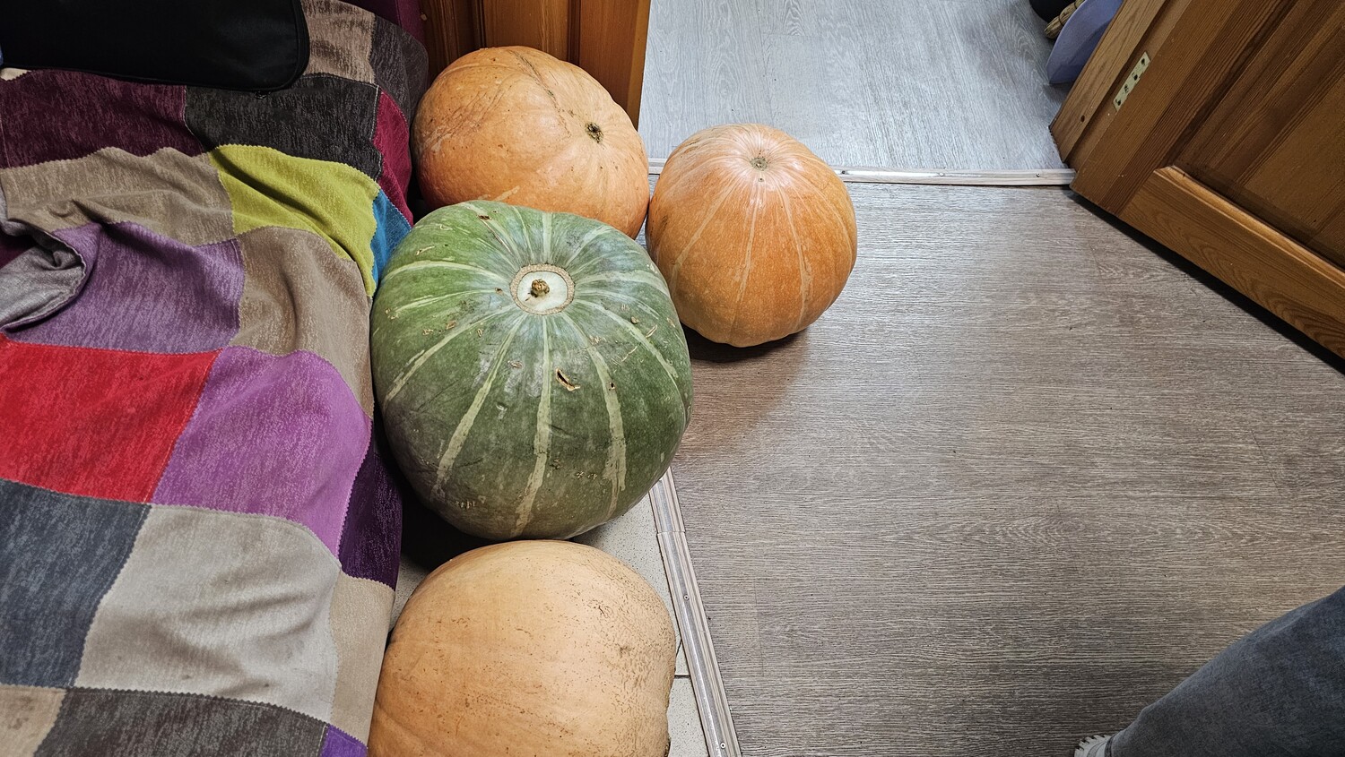 Гошер сәдакасын биреп...