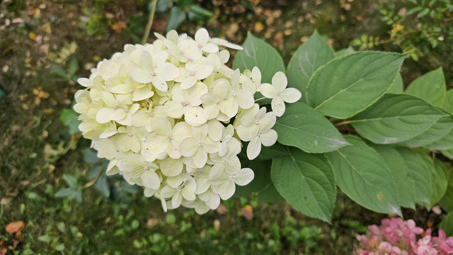 Борбаш авылында Мәүлид кичәсе