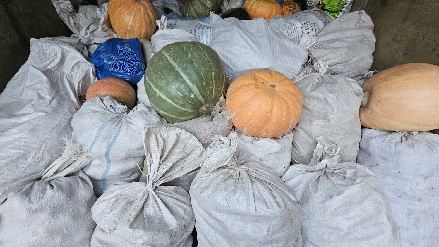 Гошер сәдакасы кабул ителә һәм таратыла